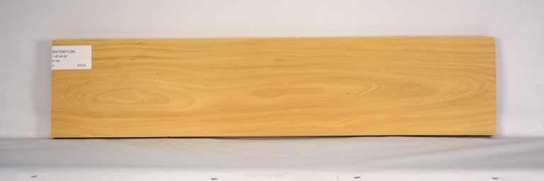 SATINEI1234_1