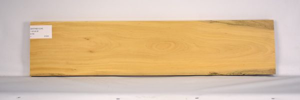 SATINEI1234_2