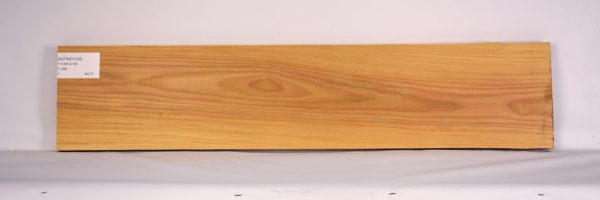 SATINEI1235_1