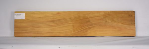 SATINEI1236_1