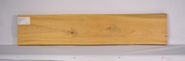 SATINEI1237_1