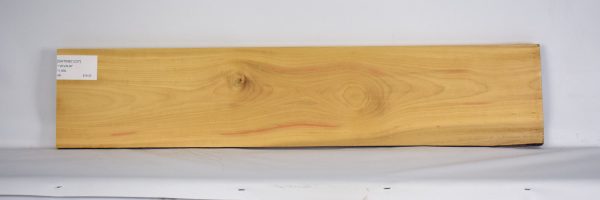 SATINEI1237_2