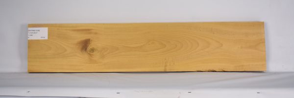 SATINEI1238_1
