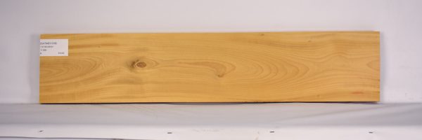 SATINEI1238_2