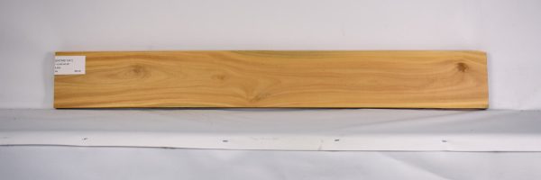 SATINEI1241_1