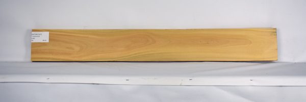 SATINEI1241_2