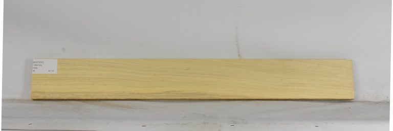 AVO1237_1