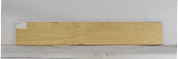 AVO1239_1