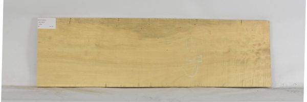 AVO1247_1