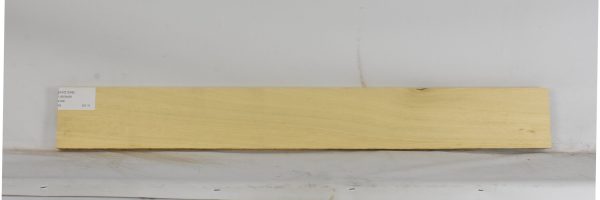 AVO1248_2