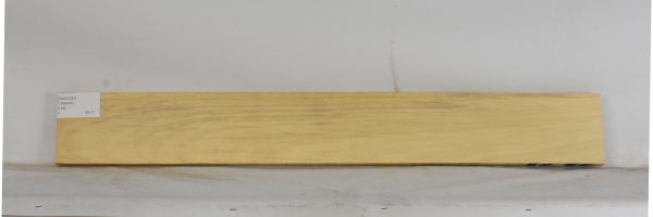 AVO1251_2