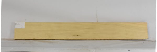 AVO1253_2