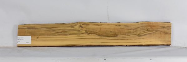 BOX1567_1