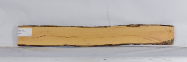 BOX1570_1