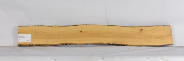 BOX1570_2
