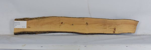 BOX1572_2
