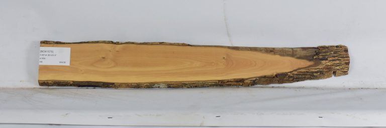 BOX1575_1