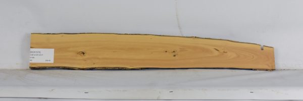 BOX1575_2