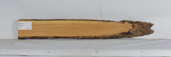 BOX1576_1