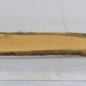 BOX1577_1