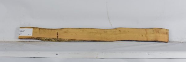 BOX1579_1