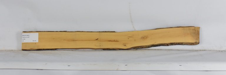 BOX1582_1