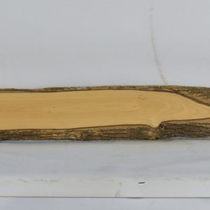 BOX1585_1