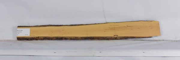 BOX1589_1