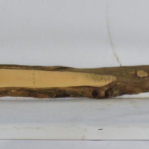 BOX1590_1