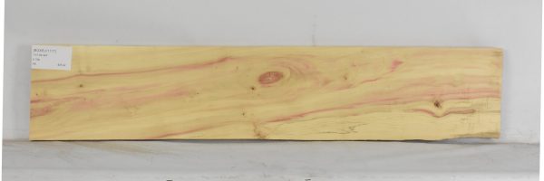 BOXELF1177_1