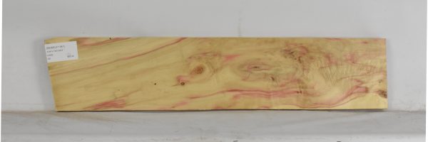 BOXELF1181_1