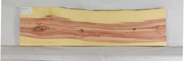 BOXELF1182_1