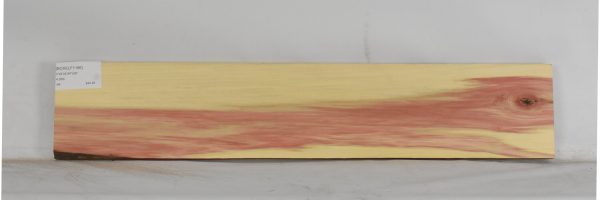 BOXELF1186_2
