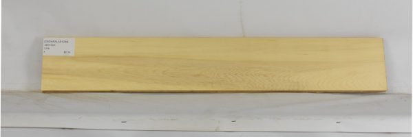 CEDARALAS1284_2