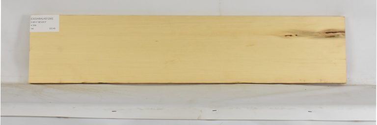 CEDARALAS1290_1