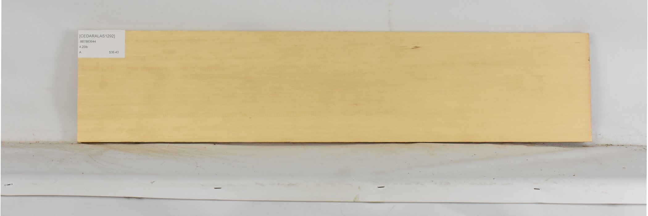 Cedar - Alaskan 2 CEDARALAS1292_2