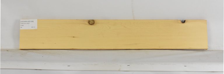 CEDARALAS1298_1