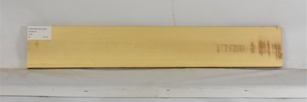 CEDARALAS1299_1