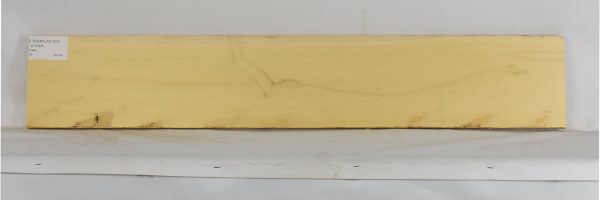 CEDARALAS1300_1