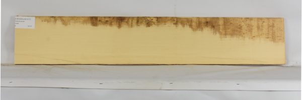 CEDARALAS1317_1