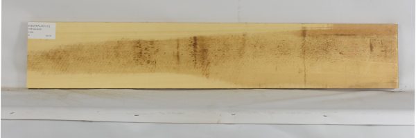 CEDARALAS1317_2