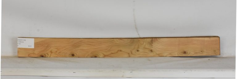 CEDH1100_1