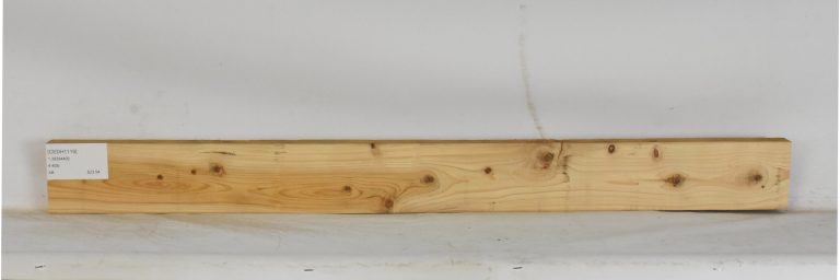 CEDH1119_1