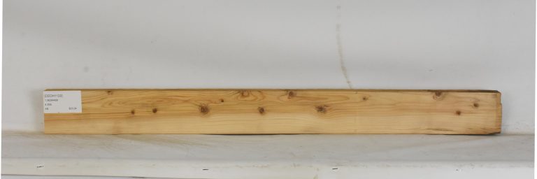 CEDH1120_1