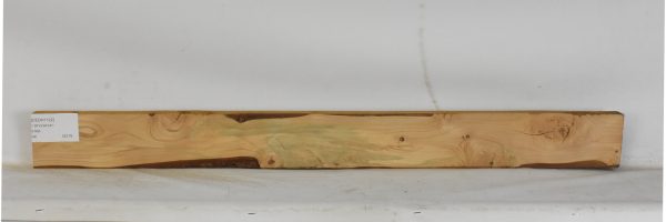 CEDH1122_1