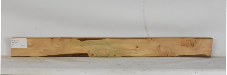 CEDH1122_1