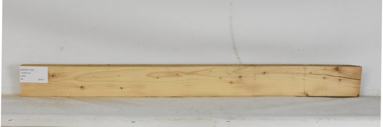 CEDH1123_1