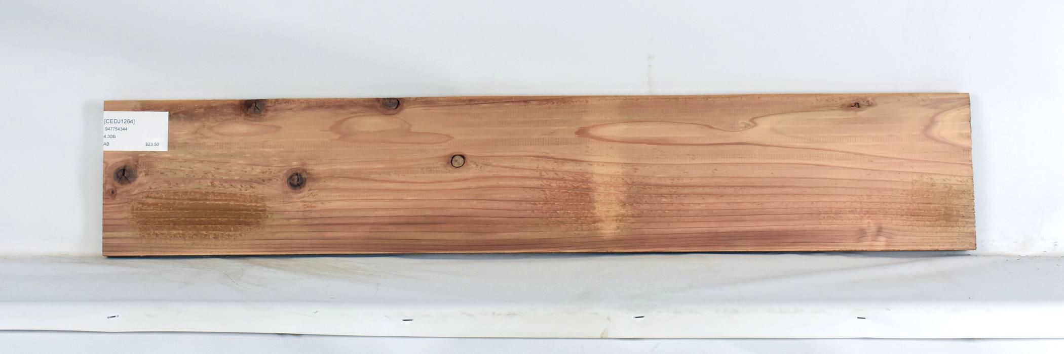 Cedar - Japanese 2 CEDJ1264_2