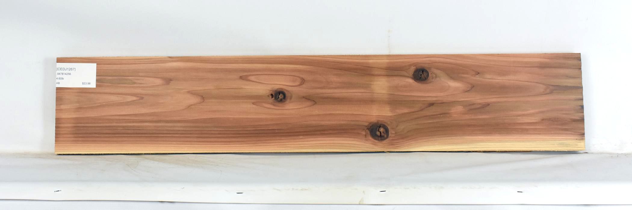 Cedar - Japanese 2 CEDJ1267_2