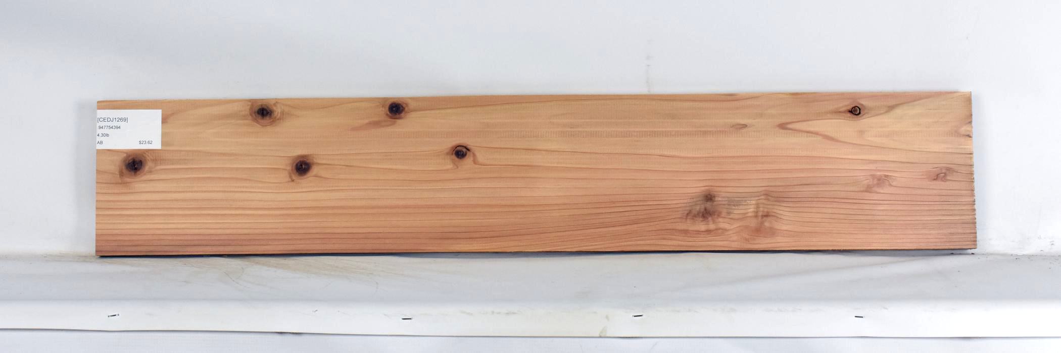 Cedar - Japanese 2 CEDJ1269_2